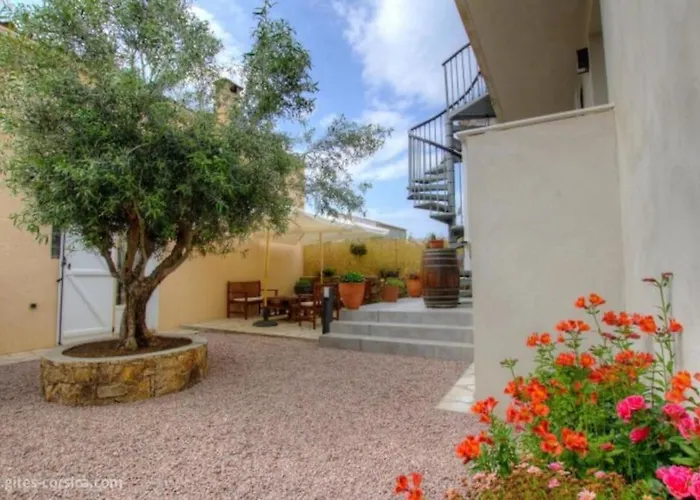 Ideal 4 Apartment Cargèse